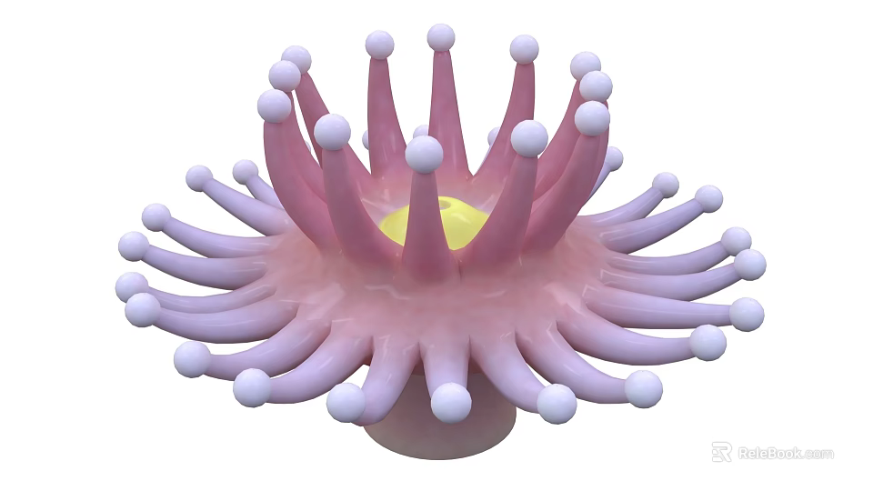 Vibrant Pink Sea Anemone With White Tipped Tentacles And Yellow Center 3d model 