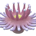 Vibrant Pink Sea Anemone With White Tipped Tentacles And Yellow Center