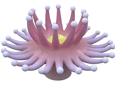 Vibrant Pink Sea Anemone With White Tipped Tentacles And Yellow Center 3d model