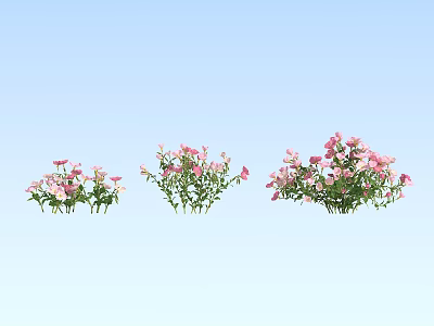 Three Lush Pink Flower Bushes with Green Leaves Against Light Blue Background 3d model