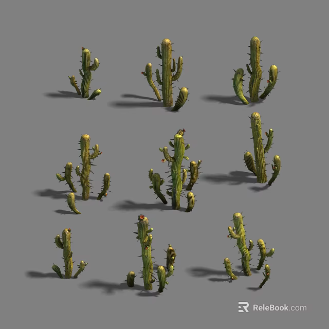 Different Sizes Of Green Cactus Plants With Spines On Gray Background 3d model 
