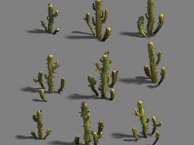 Different Sizes Of Green Cactus Plants With Spines On Gray Background 3d model