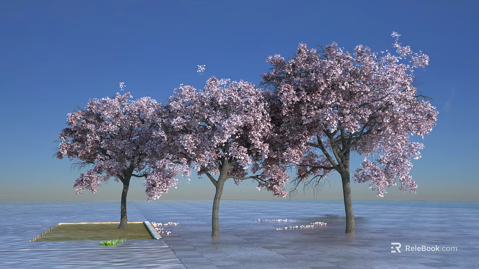 Three Trees With Pink Blossoms Against Blue Sky And Water Surface 3d model 