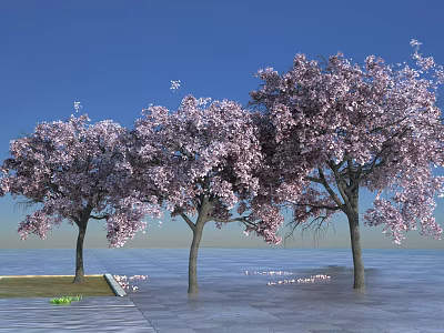 Three Trees With Pink Blossoms Against Blue Sky And Water Surface 3d model