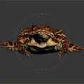 Red Brown Spotted Toad With Textured Skin Isolated On Gray Background 3d model