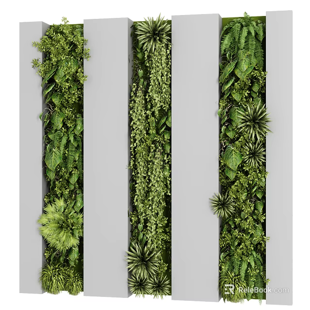 Living Plant Wall Vertical Design With Diverse Green Plants For Indoor Decoration 3d model 