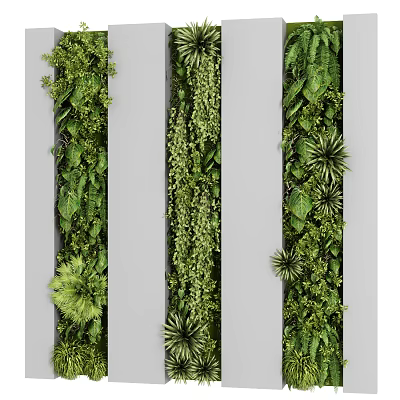 Living Plant Wall Vertical Design With Diverse Green Plants For Indoor Decoration 3d model