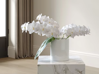 White Orchids In White Vase On Marble Tabletop Indoor Home Decor 3d model