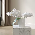 White Orchids In White Vase On Marble Tabletop Indoor Home Decor