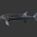 Realistic Prehistoric Fish Model With Sharp Teeth Open Mouth And Striped Body 3d model