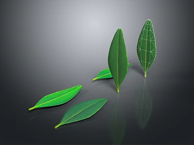 Green Plant Leaves With Elongated Shape And Grid Pattern On Dark Reflective Surface 3d model