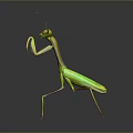 Green Mantis 3D Model Standing With Yellow Legs And Antenna On Reflective Surface