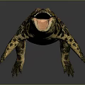 Crocodile Alligator Nile Crocodile carnivore reptile cold-blooded animal reptile 3d model