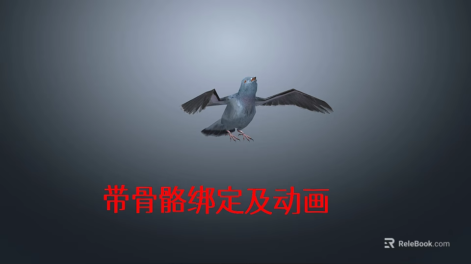 Realistic 3D Flying Pigeon Model With Rigged Bones And Animation Effects 3d model