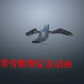 Realistic 3D Flying Pigeon Model With Rigged Bones And Animation Effects 3d model