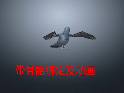 Realistic 3D Flying Pigeon Model With Rigged Bones And Animation Effects 3d model