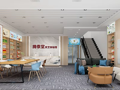 Health products store, supermarket, specialty store, nutrition store, bottom dealer 3d model