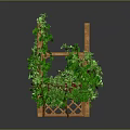 Green Vines Growing On Wooden Trellis With Lattice Structure And Decorative Leaves