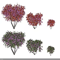 Heart Shaped Trees With Purple Flowers And Green Leaves In Three Sizes
