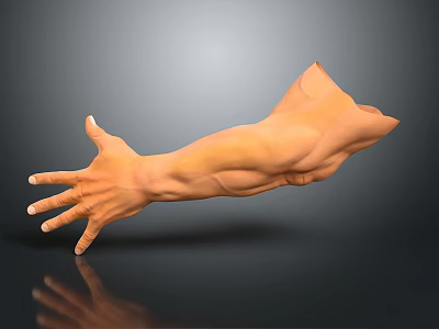 Modern Arm Gesture Arm 3d model