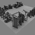 Diverse Fitness Equipment Collection Including Treadmills Strength Machines And Ellipticals