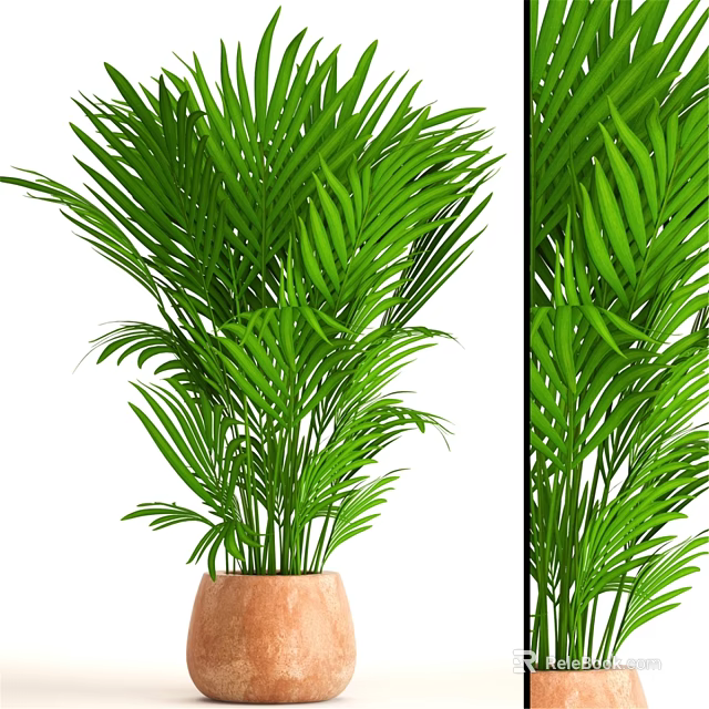 Decorative Plant Arrangement with Lush Green Leaves in Brown Ceramic Pot 3d model 