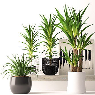 Modern potted green plant potted plant combination 3d model