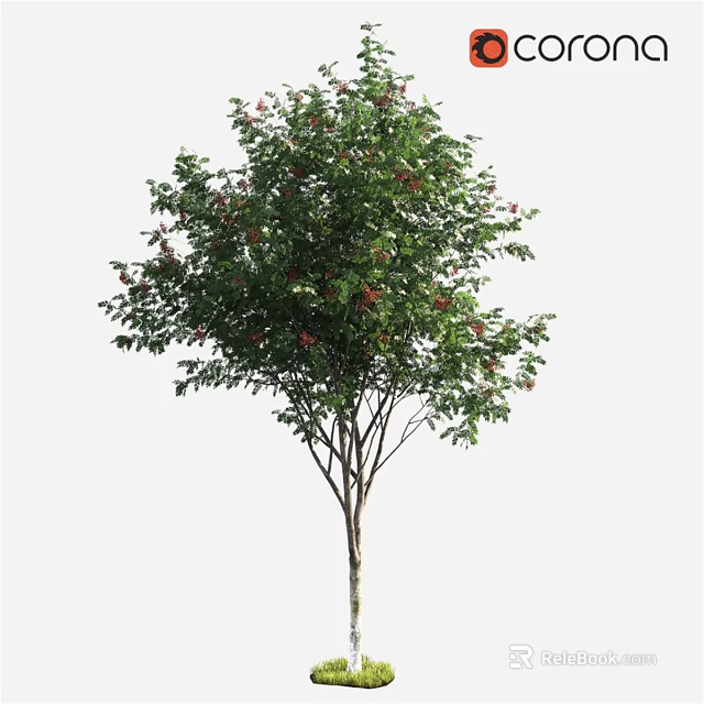 Decorative Ornament Set with Green Leaves and Red Fruits for Home Interior Decoration 3d model 