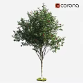 Decorative Ornament Set with Green Leaves and Red Fruits for Home Interior Decoration