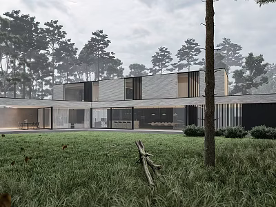 Modern Detached Villa Surrounded by Forest and Grassland with Large Windows and Open Layout 3d model
