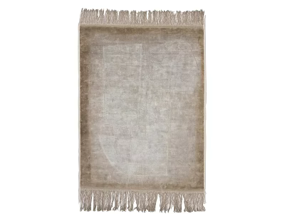 Square Fringed Area Rug in Light Neutral Shade with Soft Textured Weave Design 3d model
