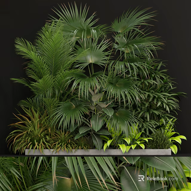 Lush Indoor Greenery With Palm Fern And Tropical Plant Varieties 3d model 