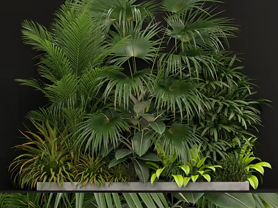 Lush Indoor Greenery With Palm Fern And Tropical Plant Varieties 3d model