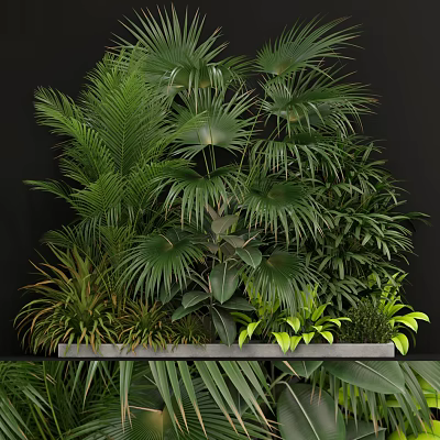 Lush Indoor Greenery With Palm Fern And Tropical Plant Varieties 3d model