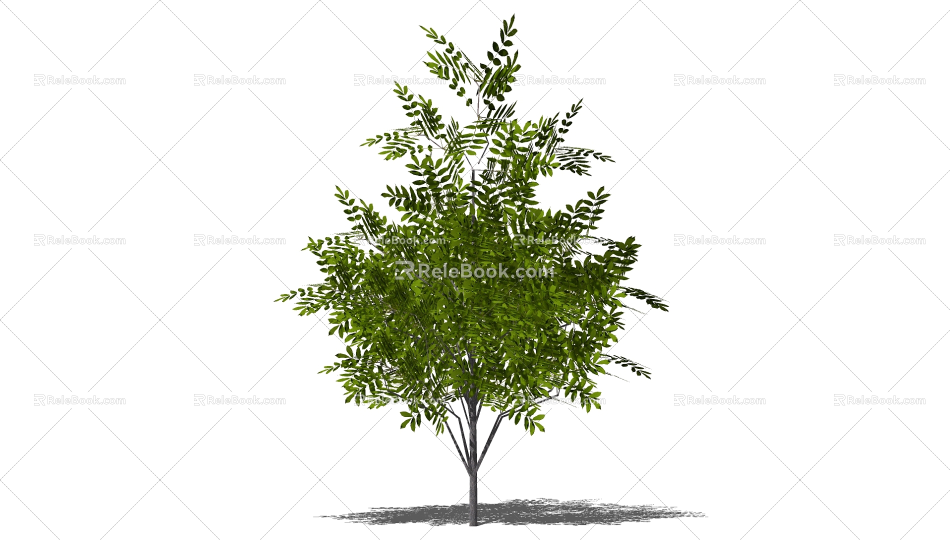 Tree 3d model