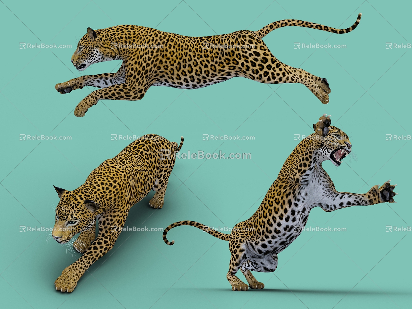 Modern leopard leopard leopard 3d model