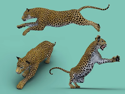 Leopard Gecko Reptile Displaying Various Dynamic Poses With Spotted Skin Patterns 3d model