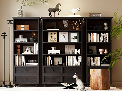 Stylish Black Bookcases Interior With Books Ornaments Photo Frames And Green Plants 3d model