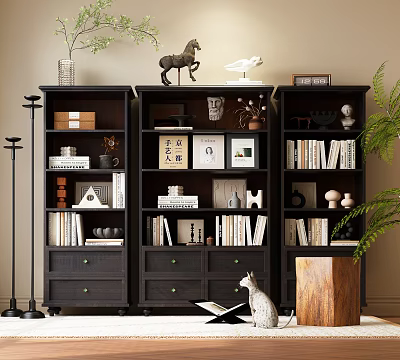 Stylish Black Bookcases Interior With Books Ornaments Photo Frames And Green Plants 3d model