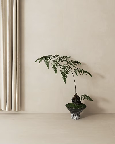 modern potted plant ornaments potted plant 3d model