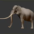 Light Colored Elephant Sculpture With Long Tusks And Smooth Reflective Surface On Dark Background