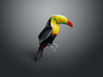 Vibrant Toucan Bird With Multicolored Beak And Black Plumage Standing Isolated 3d model