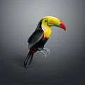 Vibrant Toucan Bird With Multicolored Beak And Black Plumage Standing Isolated