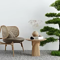 Woven Leisure Chair with Round Side Table Vase Books Green Pine Tree Grass Gravel Floor