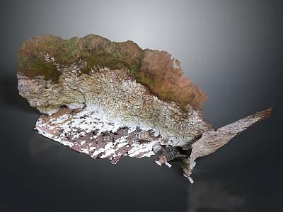 Natural Rock Formation With Green And Brown Vegetation And Snowy Base Structure 3d model