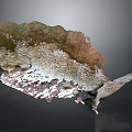 Natural Rock Formation With Green And Brown Vegetation And Snowy Base Structure
