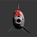 Red and White Spotted Koi Fish Isolated With Reflection On Dark Surface 3d model