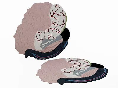 Unique Artistic Shaped Area Rug With Creative Pattern For Living Room Decor 3d model