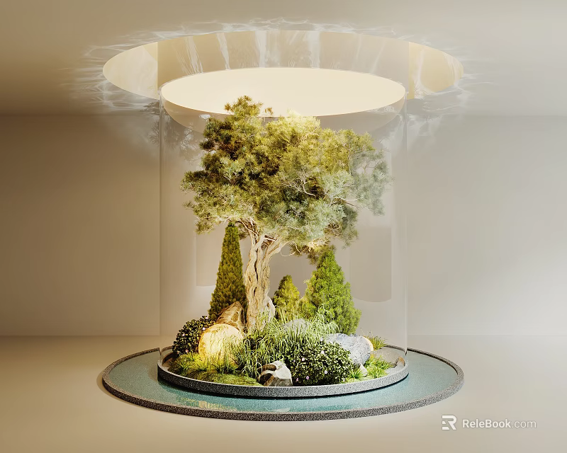 Indoor Landscape With Circular Display Area Large Tree Shrubs Stones And Overhead Light Fixture 3d model 