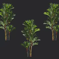 Clustered Arbor Trees With Lush Green Feathery Fronds And Red Stems 3d model